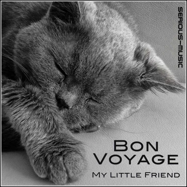 Bon Voyage My Little Friend