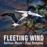 Fleeting Wind feat. Paul Dempsey